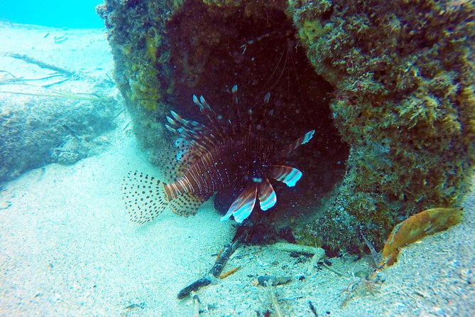 Wave Break Island Scuba Diving on the Gold Coast - Equipment, changing space, and comfort