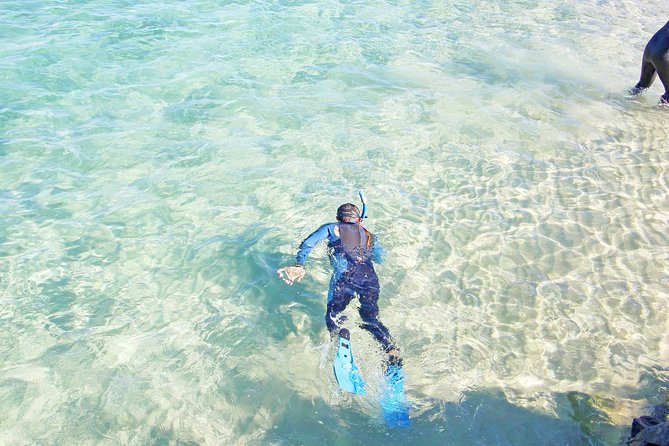 Wave Break Island Snorkel Tour on the Gold Coast - What the $53.65 price really buys you