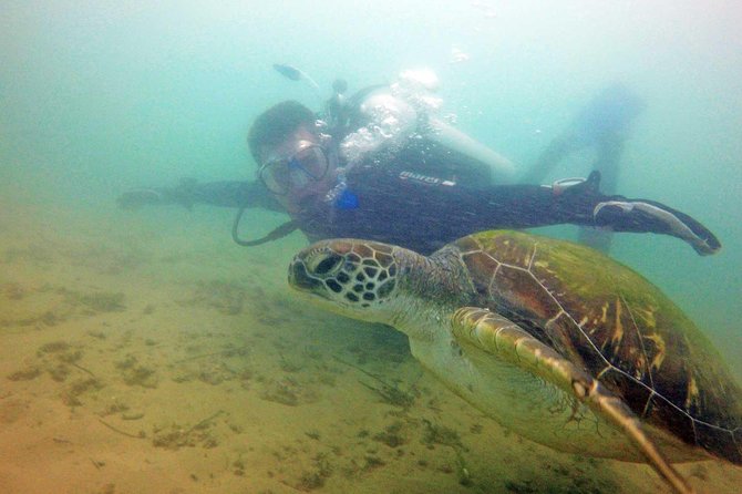 Wave Break Island Snorkel Tour on the Gold Coast - How the staff shape the experience
