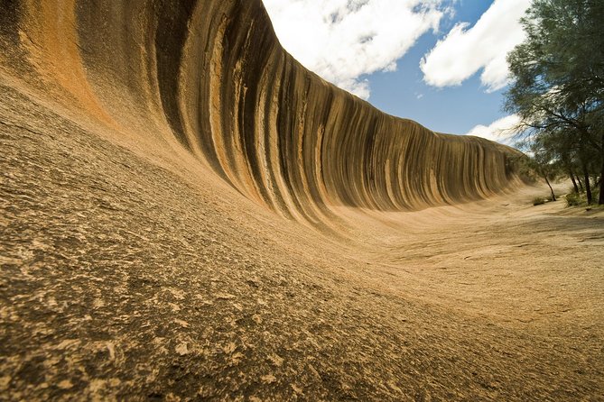 Wave Rock, York and Aboriginal Cultural Day Tour from Perth - The road east through sheep country