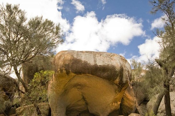 Wave Rock, York and Aboriginal Cultural Day Tour from Perth - York Town Hall and the Avon Valley