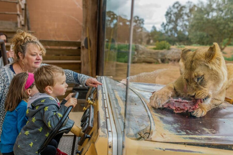Werribee Open Range Zoo: Entry Ticket - Why the open range matters