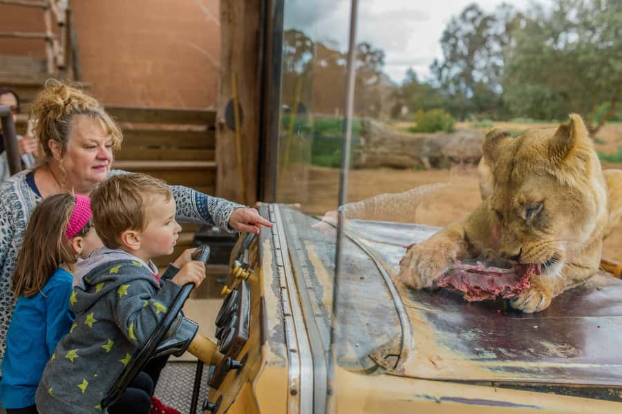 Werribee Open Range Zoo: Entry Ticket - Start with the safari bus
