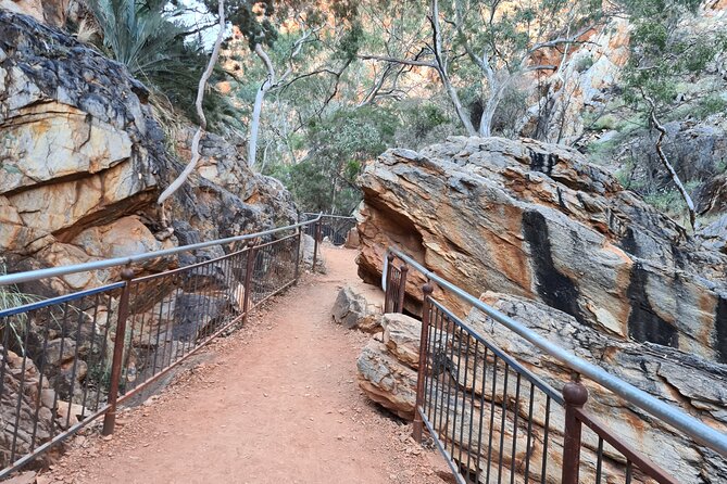 West MacDonnell Ranges Half day Tour -Small Group - Flynn’s Grave adds a human story