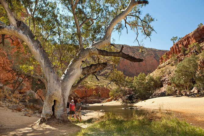 West MacDonnell Ranges & Standley Chasm Day Trip from Alice Springs - Standley Chasm and its 80-metre walls