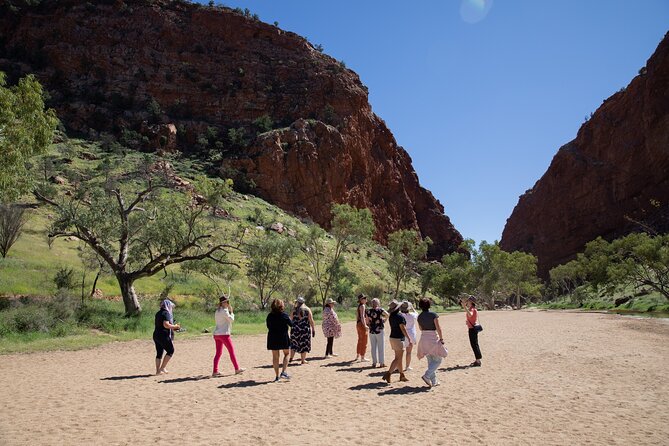 West MacDonnell Ranges & Standley Chasm Day Trip from Alice Springs - What the minibus day feels like