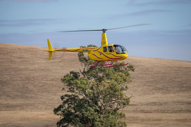 Western Ridge & Valley Floor: 20-Minute Helicopter Flight - Private groups, family rules, and weight limits