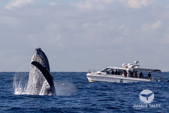 Whale Watching Boat Trip in Sydney - Sydney Harbour Bridge and Opera House from the water