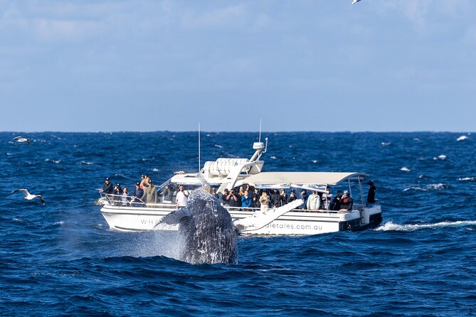 Whale Watching Boat Trip in Sydney - How the 2.5-hour timing fits a Sydney visit