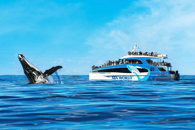 Whale Watching by Sea World Cruises - Leaving Main Beach for the Australian Whale Sanctuary