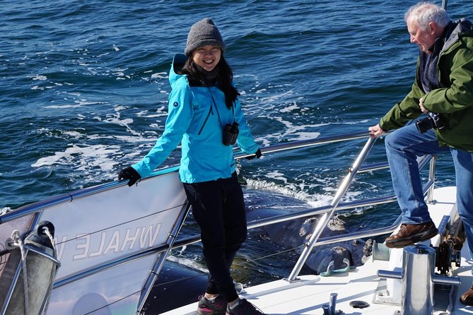 Whale Watching Dunsborough - What the two-hour cruise feels like