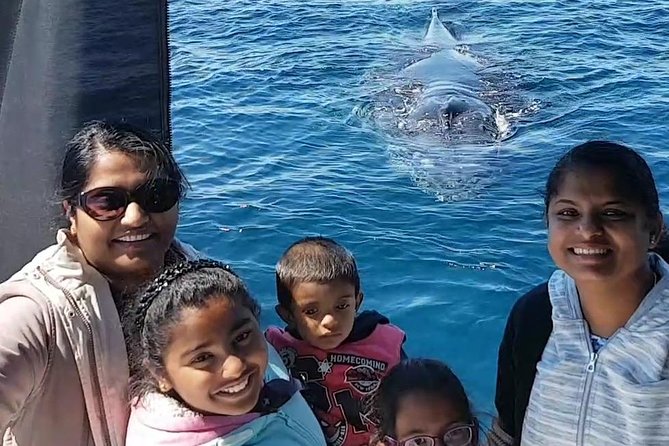 Whale Watching Dunsborough - Is $68.14 a fair price?