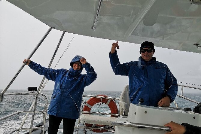 Whale Watching from Augusta in Western Australia - Comfort, sea sickness, and what to bring