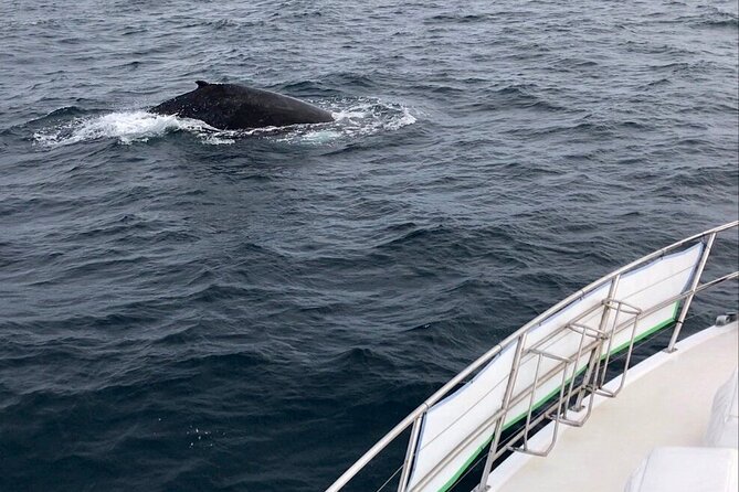 Whale Watching from Augusta in Western Australia - Boarding at Augusta Boat Harbour at 10:15 a.m.