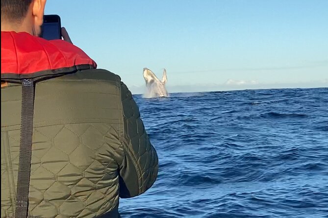 Whale Watching Gold Coast - A marine naturalist makes the waiting worthwhile