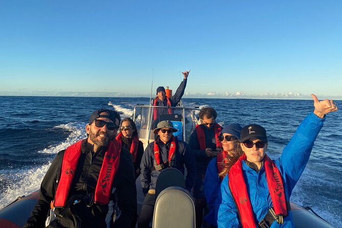 Whale Watching Gold Coast - Is $63 good value?