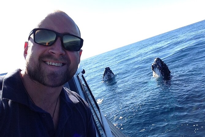 Whale Watching in Coffs Harbour - Weather can change the plan