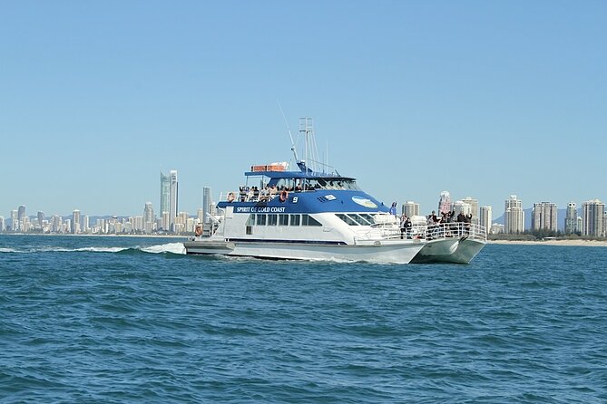 Whale Watching Tour with Spirit of Gold Coast - How Much Value You Get for $53.08