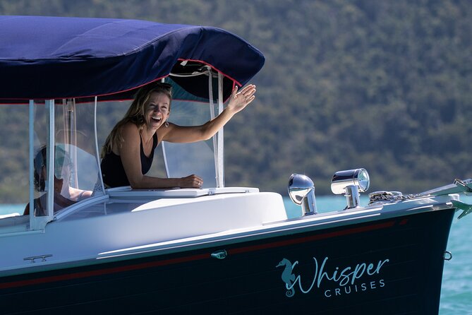 Whisper Cruises - One-Hour Turtle Spotting Bay Cruise - Why the electric boat changes turtle watching