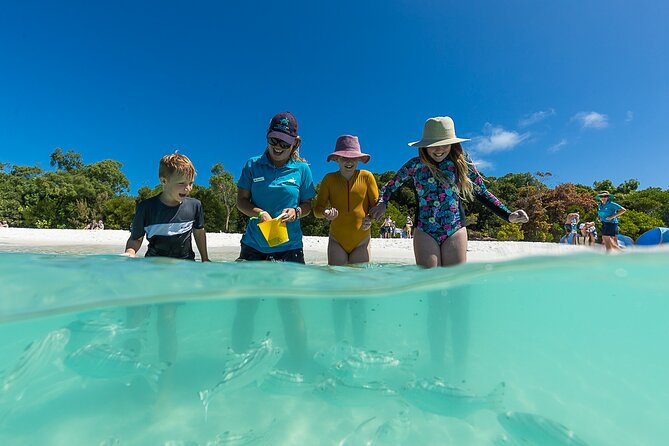 Whitehaven Beach and Hamilton Island Cruise from Airlie Beach - Who will enjoy this cruise most?