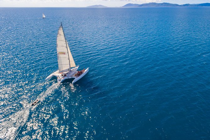 Whitehaven Beach Morning or Afternoon Tour - Tea, snacks, and what is actually included