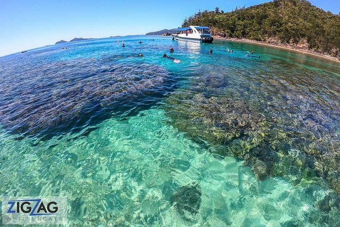Whitehaven Beach Tour: 2 Options - All Day Beach Or Snorkel - Who will enjoy this Whitehaven Beach day?