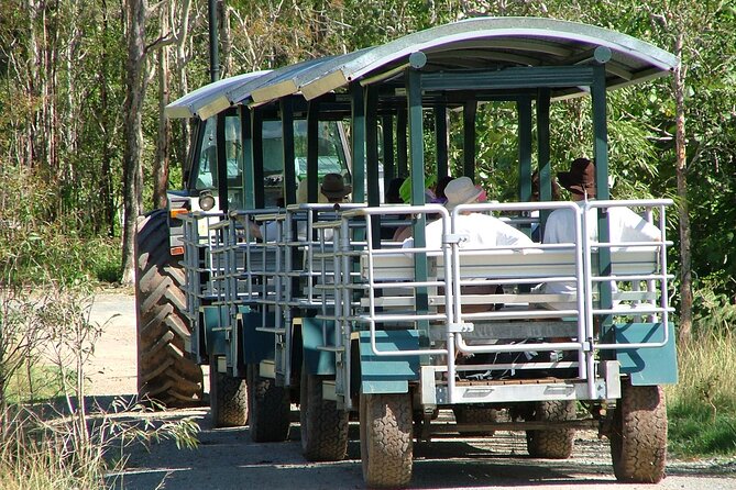 Whitsunday Crocodile Safari - Key points to know before booking