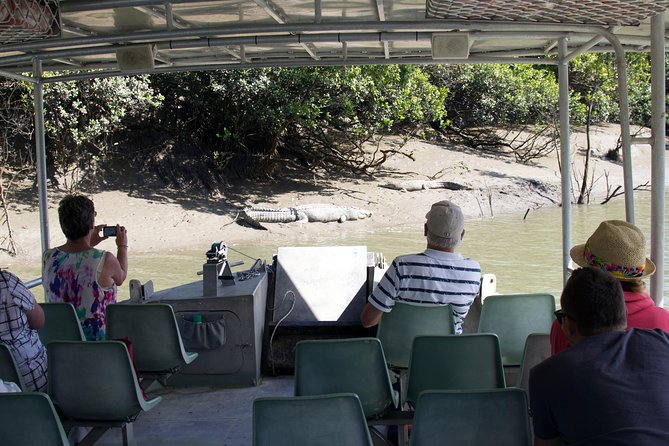 Whitsunday Crocodile Safari - Damper, billy tea, and a serious barbecue lunch