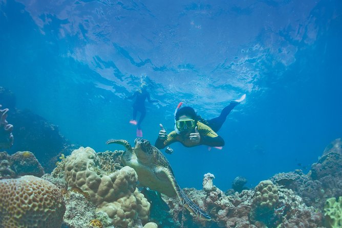 Whitsunday Islands Sail, SUP & Snorkel Tour- Small group - Sailing through the Whitsundays