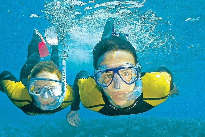 Whitsunday Islands Sail, SUP & Snorkel Tour- Small group - What the $156.72 price delivers