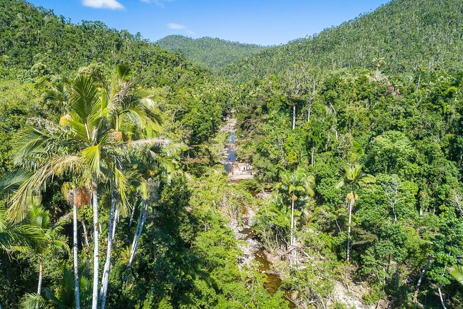 Whitsunday Segway Rainforest Discovery Tour - Key points before you book