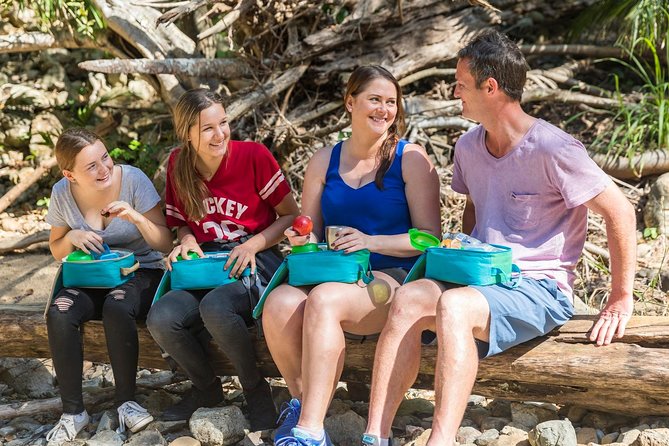 Whitsunday Segway Rainforest Discovery Tour - A forest trail with room for alternatives