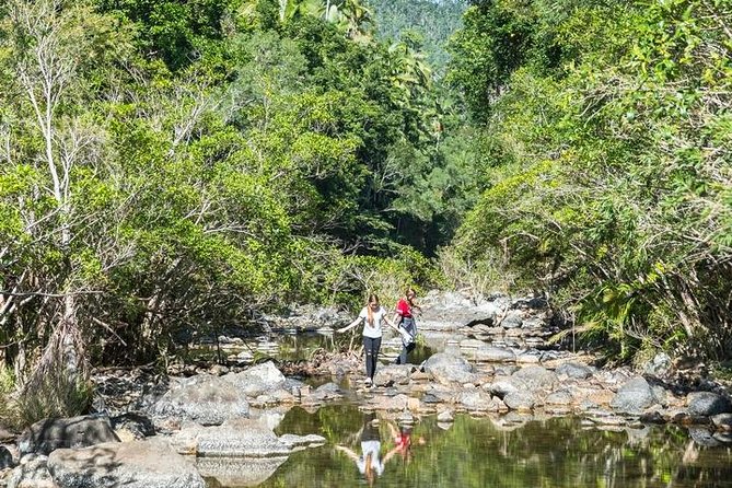Whitsunday Segway Rainforest Discovery Tour - Impulse Creek and the included morning tea