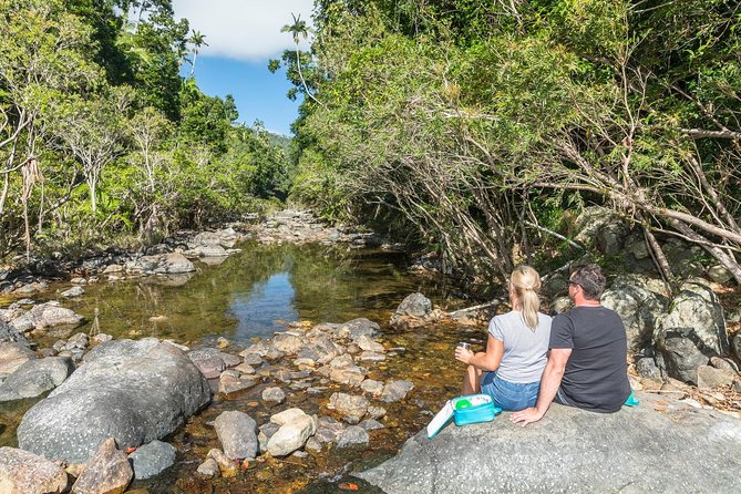 Whitsunday Segway Rainforest Discovery Tour - What the guide adds to the experience