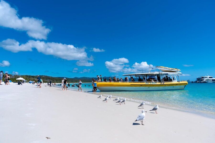 Whitsunday: Whitsunday Islands Tour with Snorkeling & Lunch - Booking details and what to pack