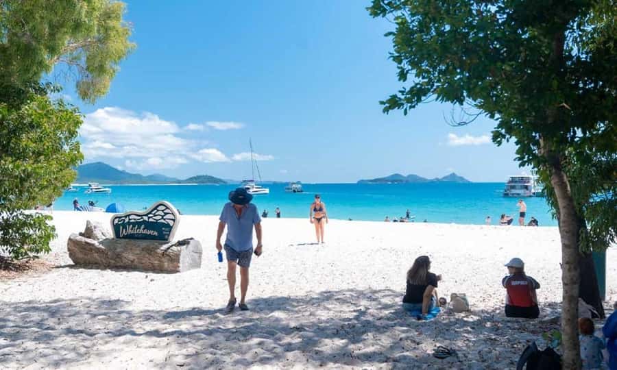 Whitsunday: Whitsunday Islands Tour with Snorkeling & Lunch - Weather, whales, and changing plans