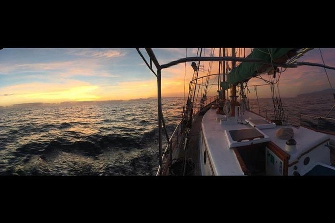 Whitsundays Sunset Sailing Cruise - Sparkling wine and a shared platter