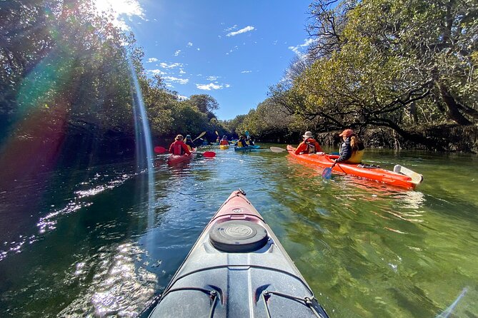 Wild Dolphin Swim Cruise - Equipment, comfort, and practical packing