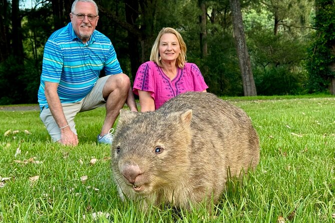WILD Wombat and Kangaroo Day Tour, All Inclusive - What makes this tour worth your day