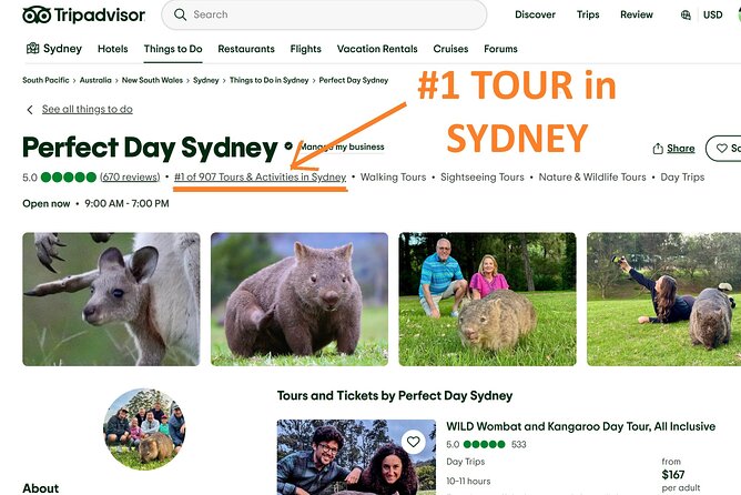 WILD Wombat and Kangaroo Day Tour, All Inclusive - Leaving Sydney for the South Coast