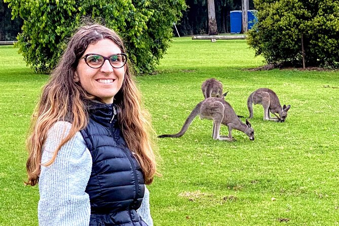 WILD Wombat and Kangaroo Day Tour, All Inclusive - Robertson Pie Shop makes lunch easy