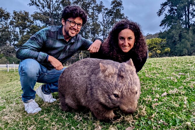 WILD Wombat and Kangaroo Day Tour, All Inclusive - A historic pub dinner closes the food stops
