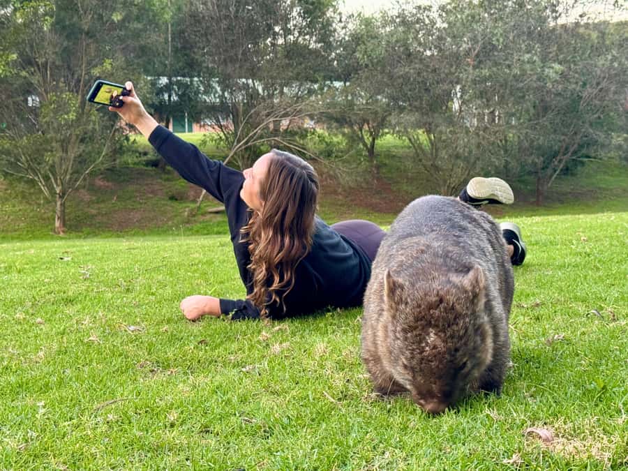 WILD Wombats and Kangaroo Experience, All Inclusive, Sydney - What makes this day worth your time
