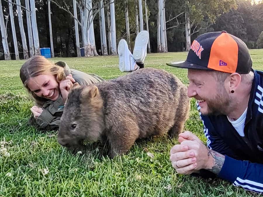 WILD Wombats and Kangaroo Experience, All Inclusive, Sydney - The wildlife comes after a day of scenery