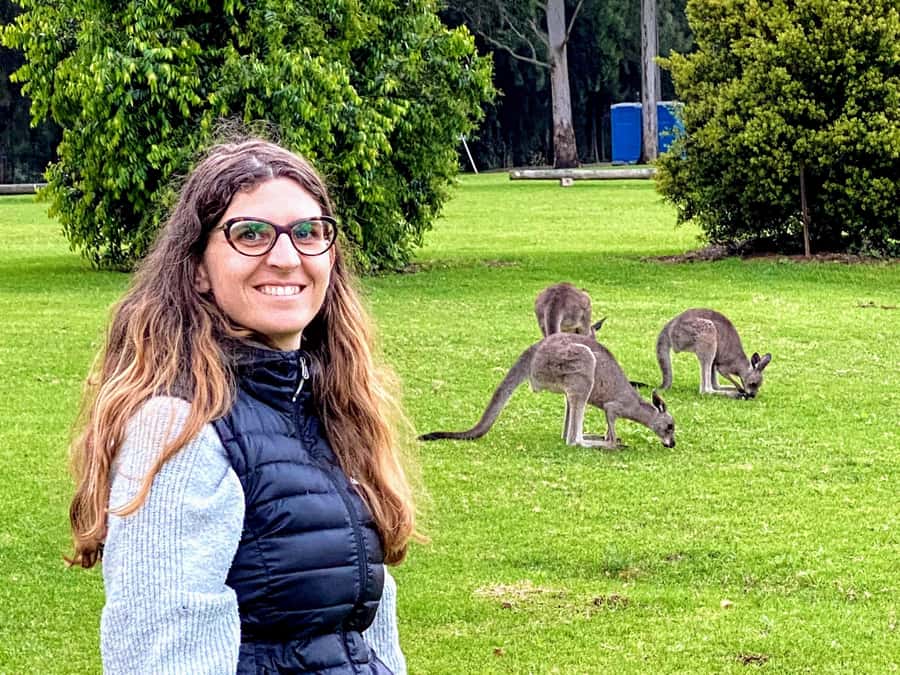 WILD Wombats and Kangaroo Experience, All Inclusive, Sydney - The first lookout and Macquarie Pass