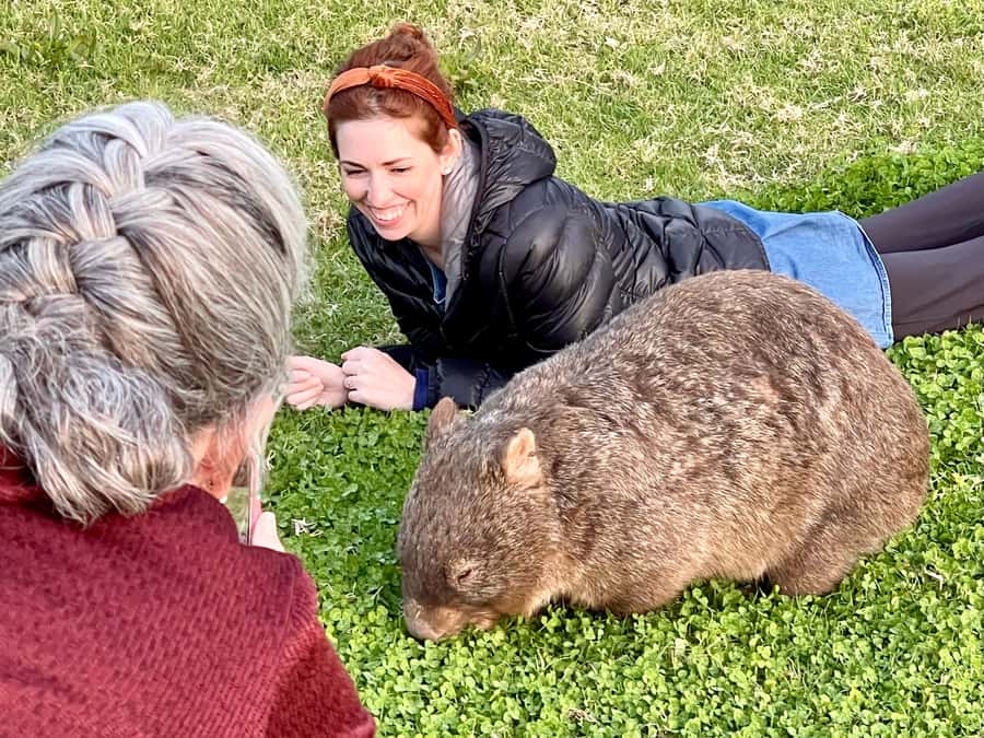 WILD Wombats and Kangaroo Experience, All Inclusive, Sydney - Pie lunch at Robertson