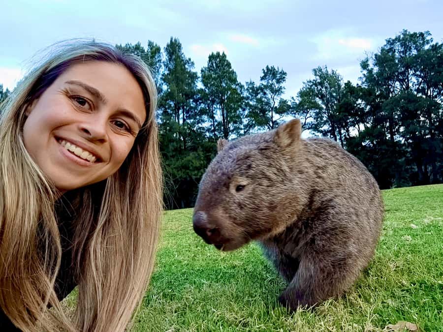 WILD Wombats and Kangaroo Experience, All Inclusive, Sydney - Morton National Park and the search for animals