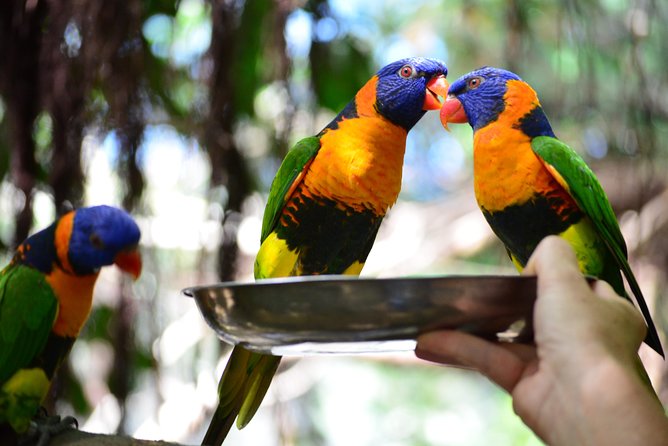 Wildlife Habitat Port Douglas - Savannah Habitat: the best place for hands-on encounters