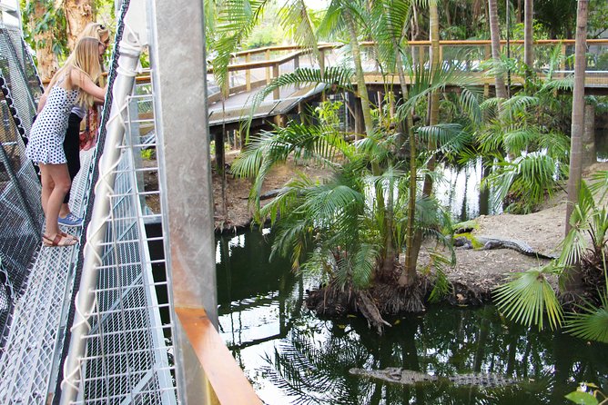 Wildlife Habitat Port Douglas - The nocturnal habitat rewards patience