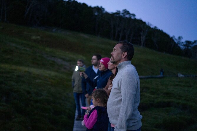 Wildlife Night Spotting at Cradle Mountain - Why Cradle Mountain comes alive after sunset